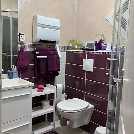 La Roseraie Résidence Près De Vichy Charmeil