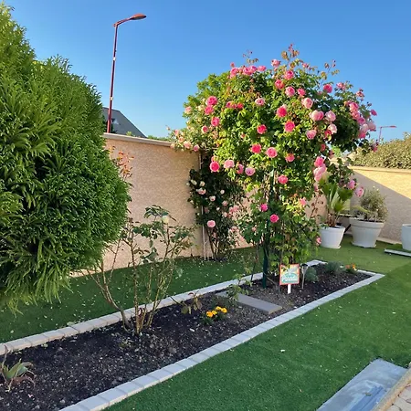 La Roseraie Résidence Près De Vichy