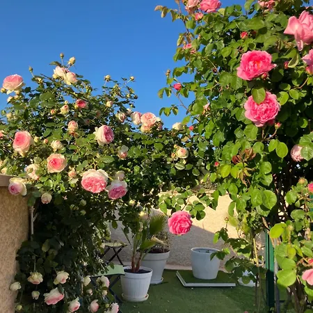 La Roseraie Résidence Près De Vichy Maison d'hôtes 3*