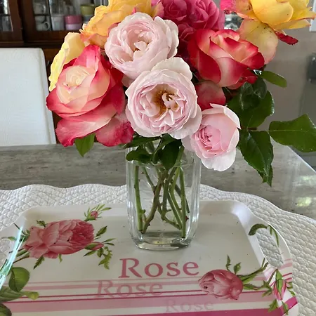 Maison d'hôtes La Roseraie Résidence Près De Vichy 3*