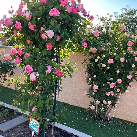 La Roseraie Résidence Près De Vichy Maison d'hôtes Charmeil